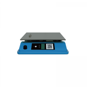 Online Weight System