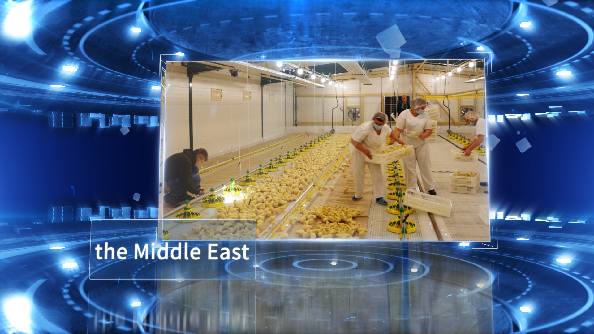 The Middle East